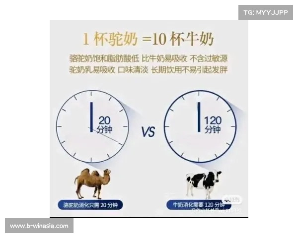 杭锦旗依托赛事平台推介骆驼奶制品助力地方特色产业发展